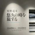 写真美術館で開催の星野道夫の写真展「悠久の時を旅する」。恵比寿ガーデンヒルズ内のノスフェでも関連グッズ販売中